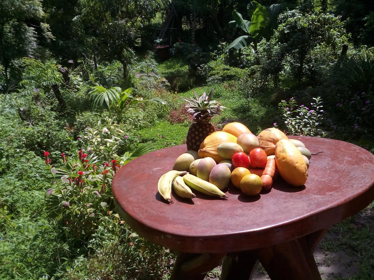 Beach Cabin Ometepe Altagracia Esterno foto